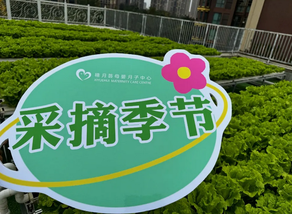 成都月子中心農(nóng)場(chǎng)主|共享菜地，開(kāi)啟有機(jī)坐月子生活